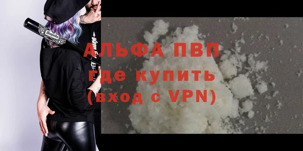 ПСИЛОЦИБИНОВЫЕ ГРИБЫ Бородино