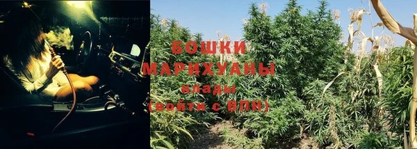 ПСИЛОЦИБИНОВЫЕ ГРИБЫ Бородино