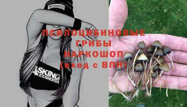 хмурый Бугульма
