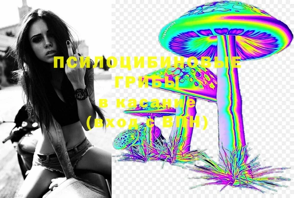 хмурый Верхний Тагил