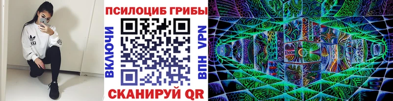 Галлюциногенные грибы ЛСД  магазин  наркотиков  Грязи 
